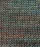 SweetGeorgia Yarns Fingering Yarns Winter Haven Mini-Skein / Tough Love Sock