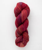 SweetGeorgia Yarns Knitting Kits Five by Five Cowl Kit / Mystery Yarn