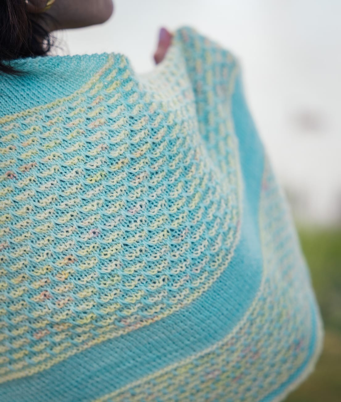 SweetGeorgia Yarns Limited & Exclusive Secret Stash / June 2026 Yarn Club
