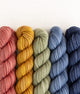 SweetGeorgia Yarns Mini-Skein Yarn Sets Canyon Ridge Party of Five / Superwash DK / Mini-Skein Set