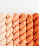 SweetGeorgia Yarns Mini-Skein Yarn Sets Sunkissed Fade Mini Colour Fade / Tough Love Sock