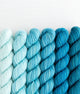SweetGeorgia Yarns Mini-Skein Yarn Sets Swell Fade Mini Colour Fade / Tough Love Sock