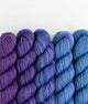 SweetGeorgia Yarns Mini-Skein Yarn Sets Whisper Party of Five / Tough Love / Mini-Skein Set