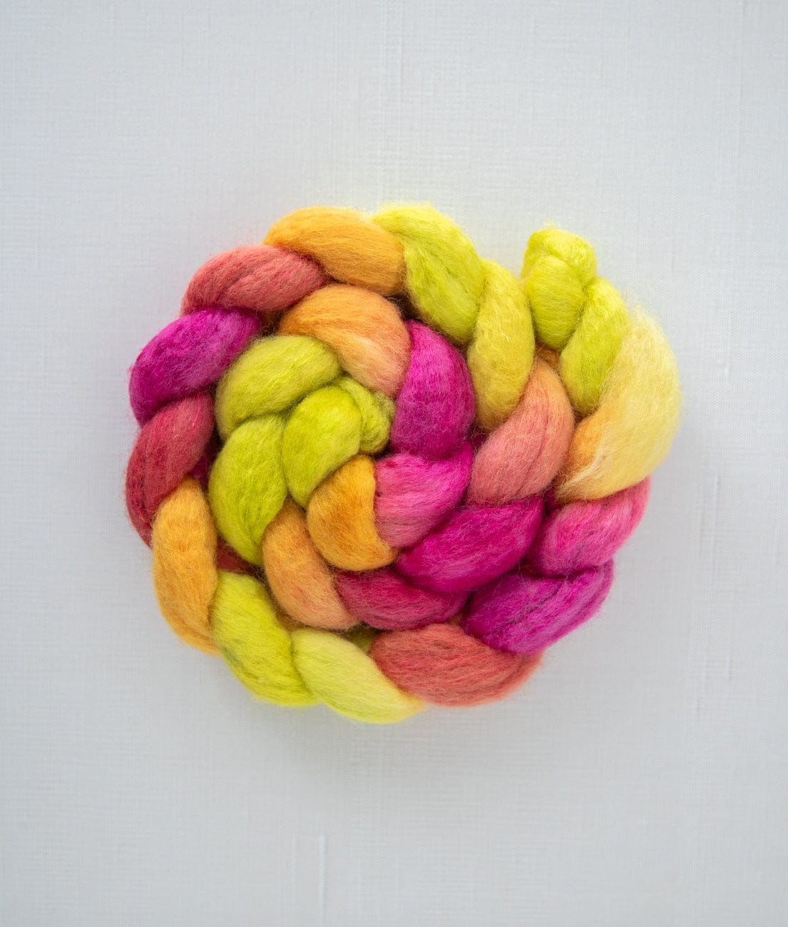 SweetGeorgia Yarns Spinning Fibre BFL+Silk / Celebrating at Cleveland Park True North Collection