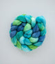 SweetGeorgia Yarns Spinning Fibre BFL+Silk / Peggy's Cove True North Collection