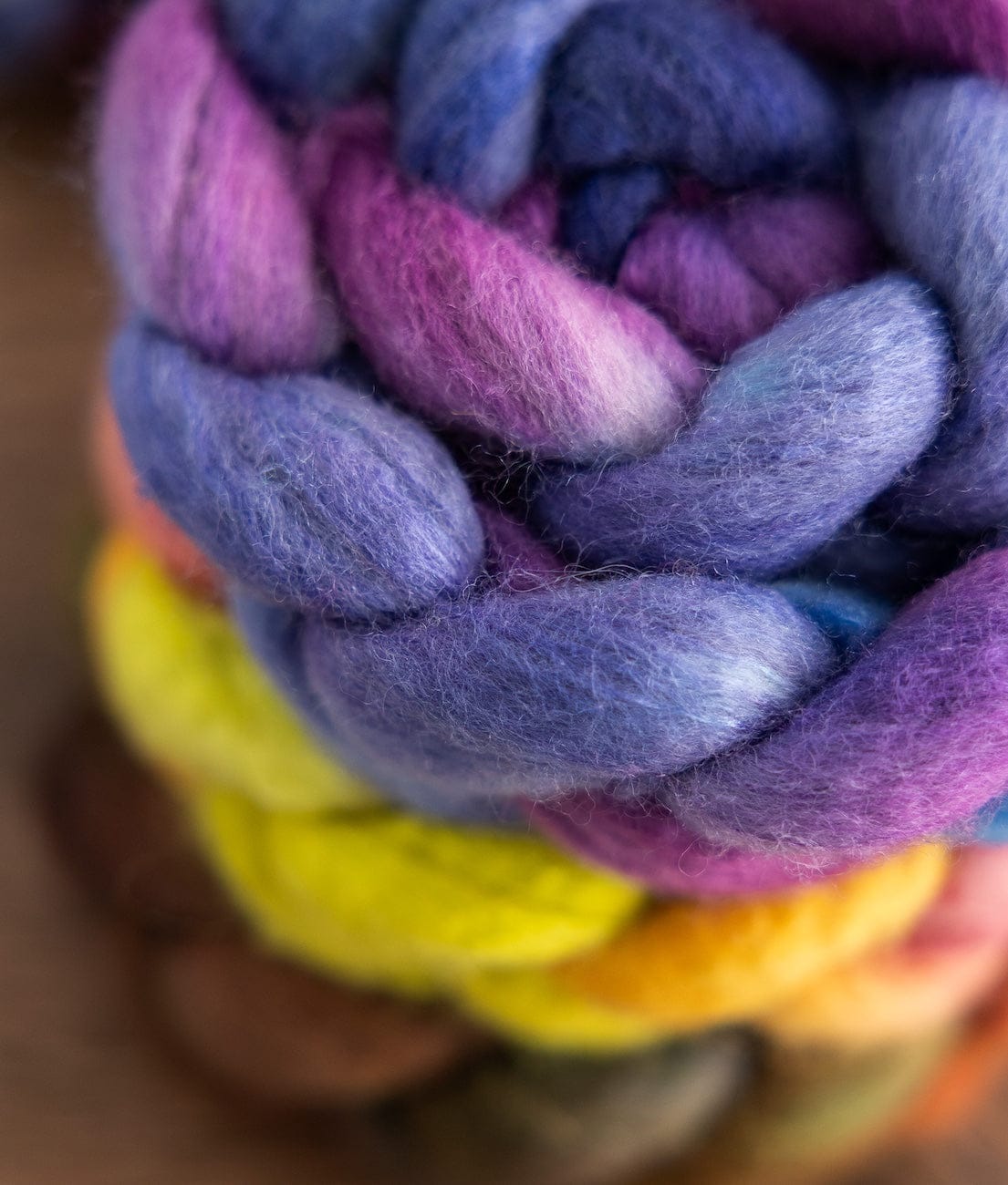 SweetGeorgia Yarns Spinning Fibre True North Collection