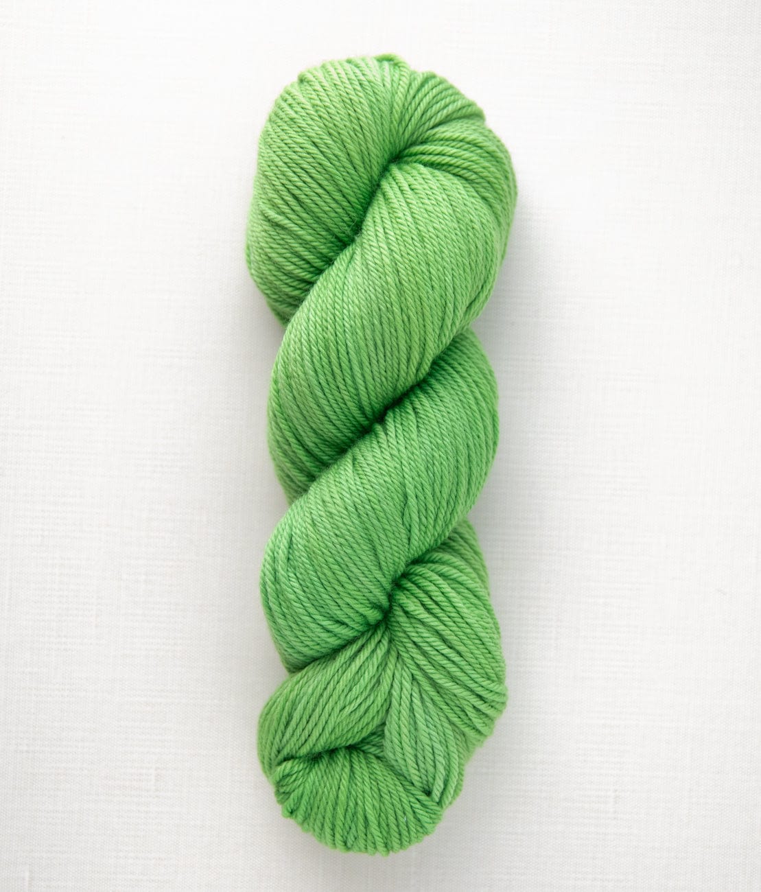 SweetGeorgia Yarns Worsted Yarns Cilantro Superwash Worsted