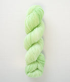 SweetGeorgia Yarns Worsted Yarns Limeade Superwash Worsted / Enlighten